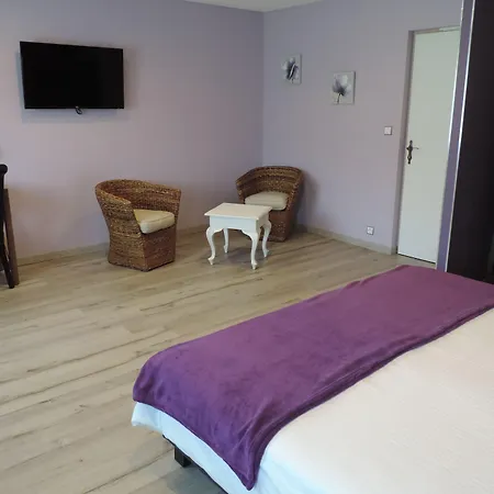 Hotel Et Foret Saint-André-les-Alpes