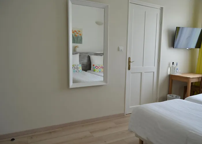 Et Foret Saint-André-les-Alpes