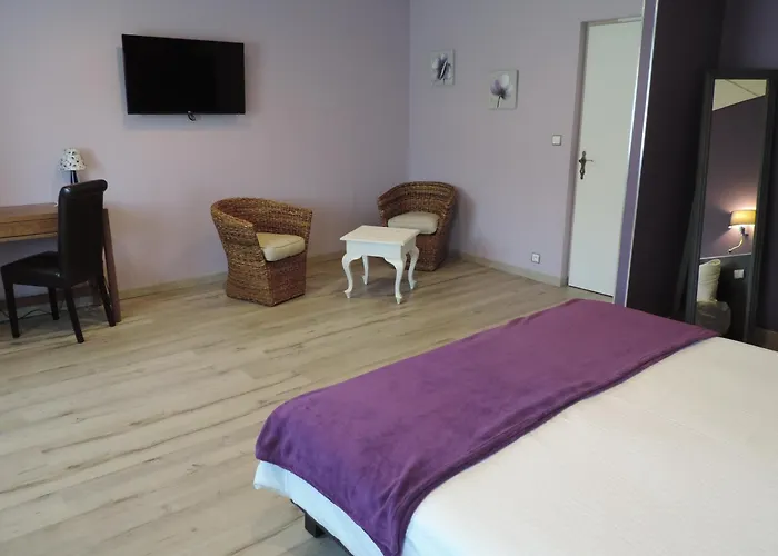 Hotel Et Foret Saint-Andre-les-Alpes